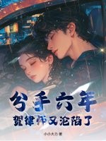 分手六年,贺律师又沦陷了